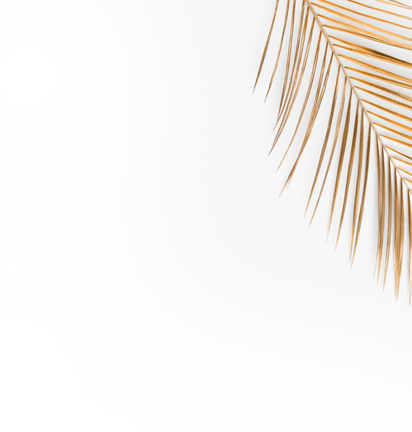 logo Image from Australian Laser & Skin